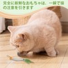 3 of Ni Cat Toy, Cat Toy, Popular, Vegetable, Small)