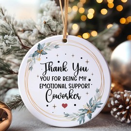 Thank You Christmas Ornament - Appreciation Gifts for Coworker, Boss, Employee, Teacher, Nurse, Mom, BFF - Christmas Retirement Gifts, Farewell, Goodbye (H41)
