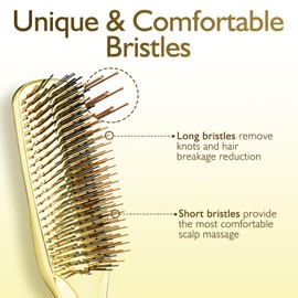 Daily Gard Detangling Hair Brush, Dry and Wet Detangler Hair Brush for Women and Men, Massager Scalp Brush for Straight/Curly/Thick/Long/Wavy/Damaged Hair, Gold