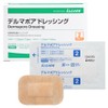 Alcare 15562 Delmapo Dressing 20 Sheets