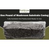 Out-Grow Pasteurized Mushroom Substrate Casing | 1 lb Bag Ready