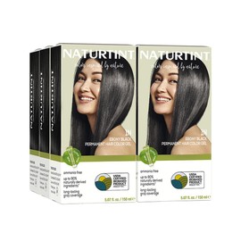 Naturtint Permanent Hair Color - 1N Ebony Black, 5.28 fl oz (6-pack) by Naturtint