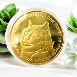 Promotech 24K Gold Plated 45mm Diameter Dogecoin MEMECOIN Coin Collectible in Coin Capsule for Any Cryptocurrency BTC Fan