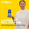 Wellgard Creatine Gummies - Vegan, 3000mg True Dose Creatine Monohydrate