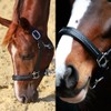 Marengos - Diamond Leather Headcollar | Halter for Horses |
