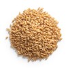 Cat Grass Kit for Indoor Cats – x4 Seed Packets