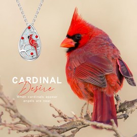 BEILIN 925 Sterling Silver Red Cardinal Teardrop Urn Necklace for Ashes Cremation Jewelry Pendant Necklaces Memorial Gifts