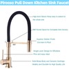 Pirooso Gold and Black Kitchen Faucet, Kitchen Sink Faucet with