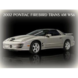 2002 Pontiac Firebird Trans Am WS6 Metal Sign: 12x16" & Ships Free