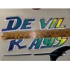 AWESOME SIX PIECE TAMPA BAY DEVIL RAYS JERSEY IRON ON