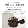 Yokkaichi Banko-yaki Coffee Teapot