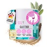 FAVLY Gastro Powder Gastro Gastro Intestinal Flora for Dogs 250