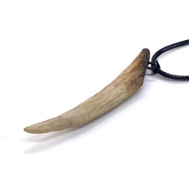 Faux Bone Pendant Necklace Charm, 2.75 inch Vintage Style Tooth, Black 17.5 inch Cord Adjustable up to 19.5 inches