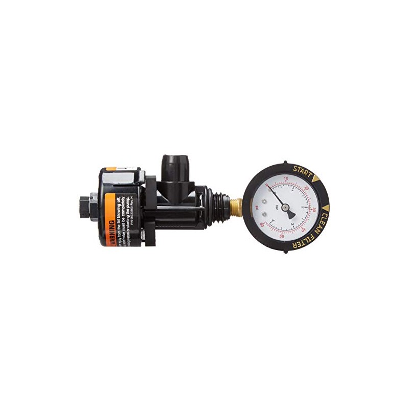 Pentair 98209800 Air Relief Manual Valve Assembly