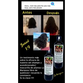 Shampoo De Cola De Caballo, Romero  Aloe Vera  Crecimiento  De Cabello  16 Onzas