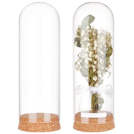 BENECREAT 2 Pack Glass Display Dome Cloche, 7.6x2.5inch Glass Bell Jar Display Dome Glass Decorative Jars with Cork Base for Flower Plants, Crafts Decorations, ID: 2.36inch