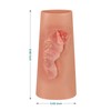 MedEduQuest Abrasion Wound Care Training Sleeve, Wound Packing Trainer for