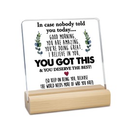 LILISPAI Inspirational Motivational Gifts - Thank You Gifts for Women Men Friends - Appreciation Gifts for Coworker, Funny Office Desk Home Decorative Sign Acrylic Sign for Office Desk