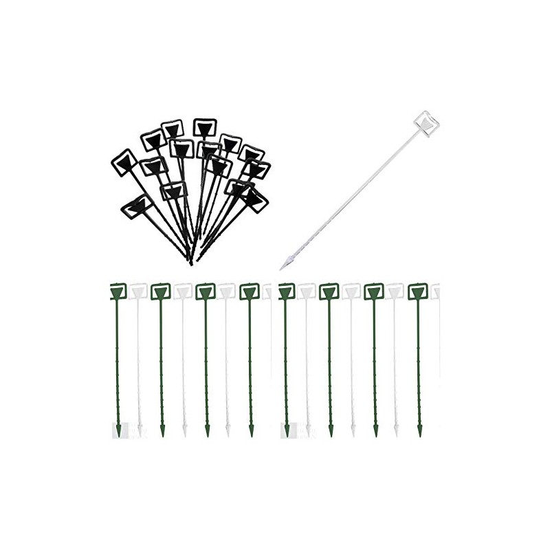 Cardette Card Holders Price Displays 23cm Rigid Plastic Green or