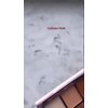 Paleta De Sombras Para Ojos Maquillaje 9 Tonalidades La Girl