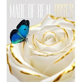 JIGQGY Birthday Christian Gifts for Women,Preserved Roses,Romantic Gifts for Her,Mother,Wife,Girlfriend on Thanksgiving Christmas Valentine's Day,Forever Flower in Glass Dome with LED(White)