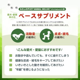 My Power ANIMAL WELIVE Q10 Reduced Coenzyme Q10 Dogs Cats Pet Supplements Made in Japan