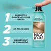 L'Oreal Paris Magic Instant Retouch Root Concealer