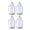 Fastrack 4-Pack 1 Gallon Glass Jug Set (128 oz) w/