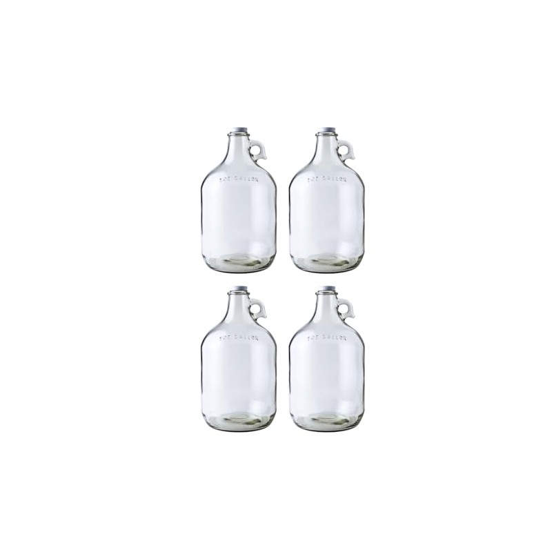 Fastrack 4-Pack 1 Gallon Glass Jug Set (128 oz) w/