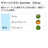 Summer Citrus 100ml Aroma Blend Incent Essential Oil 100ml
