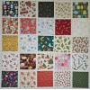 CHRISTMAS Fabric I SPY Squares Cotton Charms 5 inch Sq