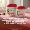 Teatrical Crema Facial Antiarrugas Células Madre Verde Tarro 400g