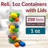 Reli. 1 oz Small Containers with Lids (250 Sets) |