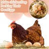 12 Pcs Fake Eggs, Artificial Plastic Eggs for Kids, Easter