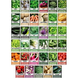 Gardeners Basics Survival Vegetable Seeds Garden Kit Over 16,000 Seeds - 35 Varieties Seeds
