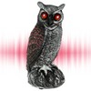 Solar Owl Bird Deterrent for Garden Protection – Waterproof Decoy