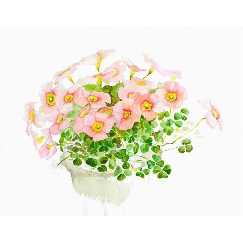 Create Muse HW-2401 Watercolor Paper White Watson Book SM 8.3