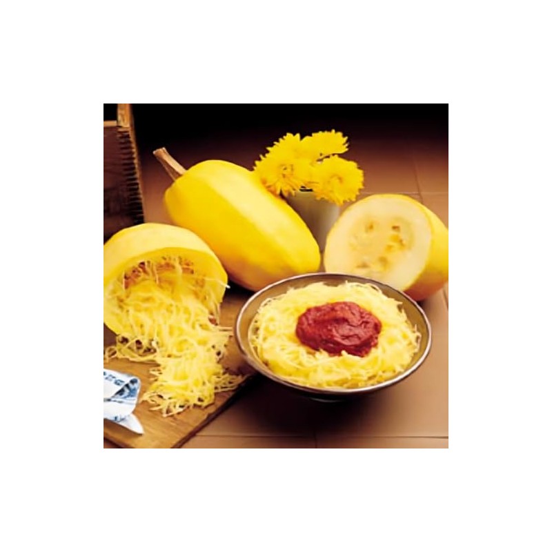 Squash Vegetable Spaghetti Garden Heirloom Vegetable Seeds by Seed Kingdom