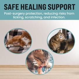 KittyCraft Cat Recovery Suit - Post Surgery Cat Onesie, Cat Post-Surgery Suit (Large, Pink)