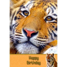 Tiger Birthday Card