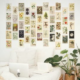 Anguxer 50 Pieces Wall Collage Kit Aesthetic, Aesthetic Postcards, Aesthetic Postcards, Wall Collage Set