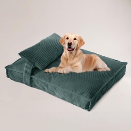 TEXSTEAD Corduroy Medium Dog Bed, Soft Washable Pet Bed with Removable Cover, Orthopedic Foam Support, Non-Slip Bottom for Medium Breed Dogs 32"x24"