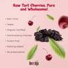 Berrilys Organic Unsweetened Pitted Dried Tart Cherries (5 lb) -