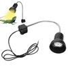 25W Reptile Heat Bulb Clamp Light Set 360 Degree Rotation