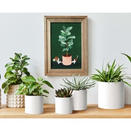 D'vine Dev Pack of 10 Plastic Plant Pots (2 Set of 6 Inch, 5.5 Inch, 5 Inch, 4.5 Inch, 4 Inch) Small Planter Pots for Plant with Drainage Holes and Saucers, White, 74-R-A