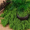 Attuslla Tree Powder Model Green Plant Tufted for DIY Model