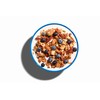 NuTrail Nut Granola Cereal, Blueberry Cinnamon, No Sugar Added, Keto,
