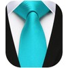 HISDERN Men's Tie Slim Plain Silk Ties for Men Classic