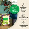Herbaria Voller Schwung Tee bio 15FB – 100% Bio-Kräutertee im