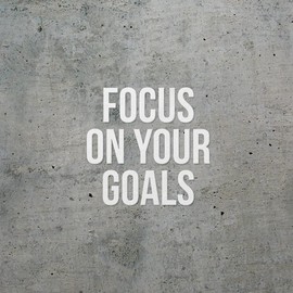 Decal Stickers of Focus On Your Goals (White) (Set of 2) Premium Waterproof Vinyl Decal Stickers for Laptop Phone Accessory Helmet Car Window Mug Tuber Cup Door Wall - BICVER1e79522WHW19Y24